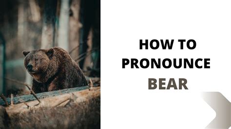 how to pronounce bear|How to pronounce BEAR in English .